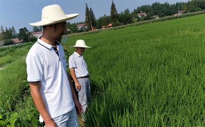 积玉口基地