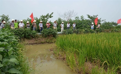 龙湾基地